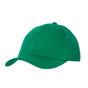Alcyon gorro verde